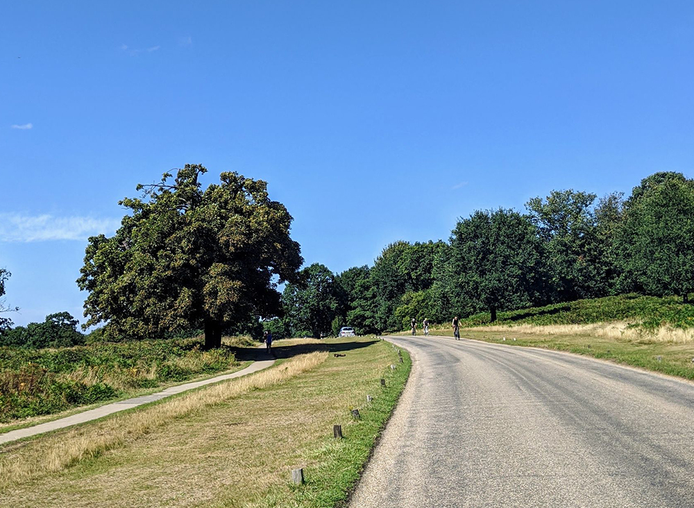Richmond Park Event